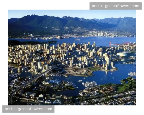 温哥华加人队宣布与总经理Patrik Allvin续约三年 温哥华加人队宣布与总经理Patrik Allvin续约三年